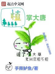 植掌大唐封面图片