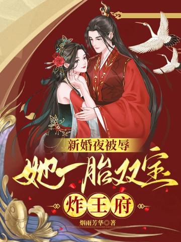 新婚夜被辱，她一胎双宝炸王府封面图片