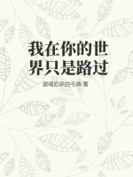 我在你的世界只是路过封面图片